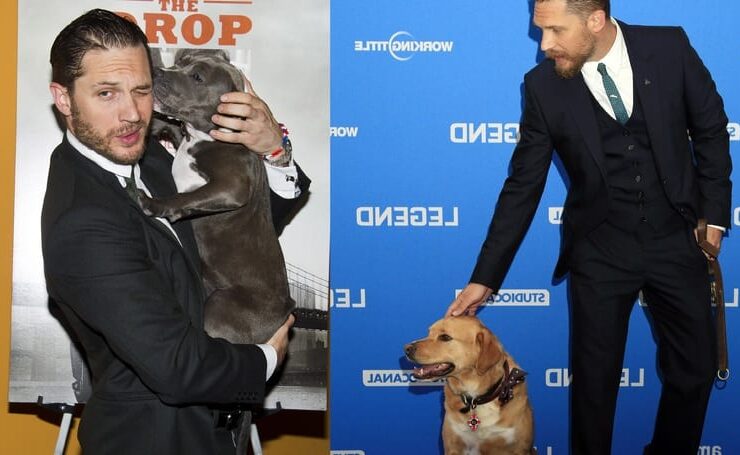 Tom Hardy