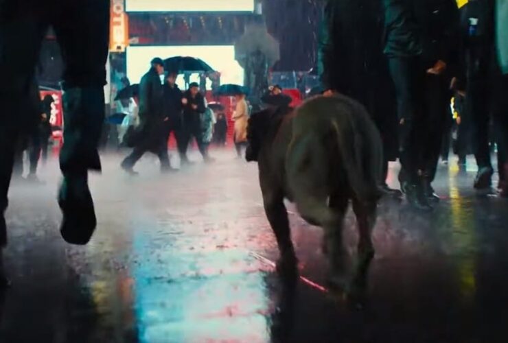 John Wick Chapter 3