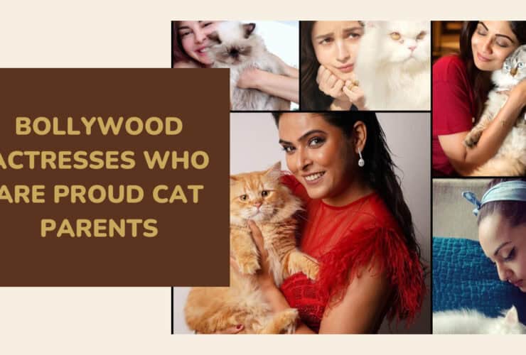 Bollywood Actresses
